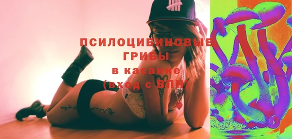 ПСИЛОЦИБИНОВЫЕ ГРИБЫ Белокуриха