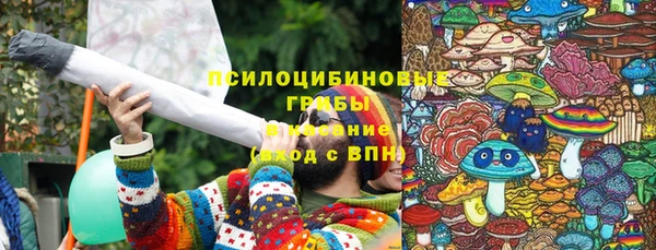 ПСИЛОЦИБИНОВЫЕ ГРИБЫ Белокуриха