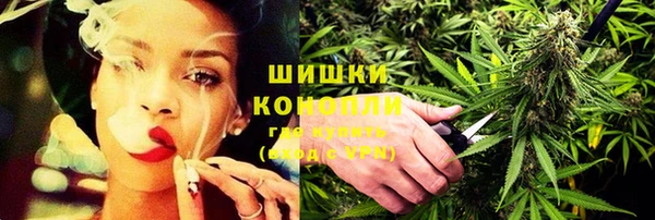 ПСИЛОЦИБИНОВЫЕ ГРИБЫ Белокуриха