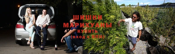Альфа ПВП Белоозёрский